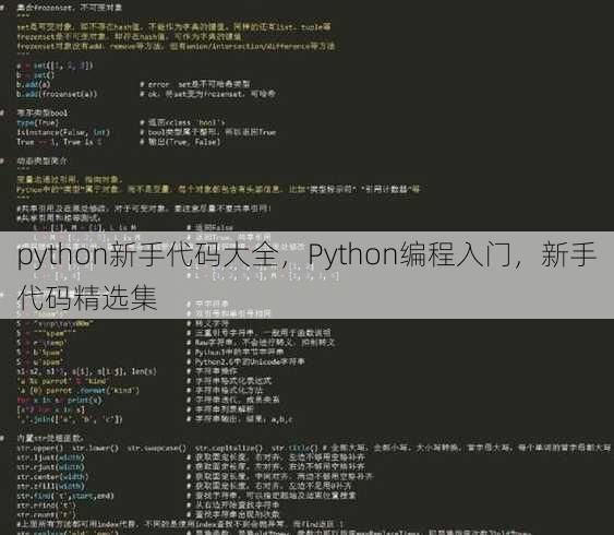 python新手代码大全