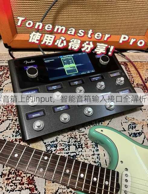 音箱上的input
