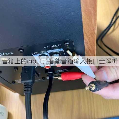 音箱上的input