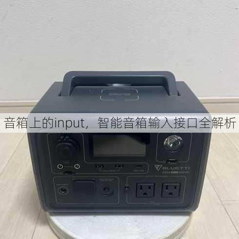 音箱上的input