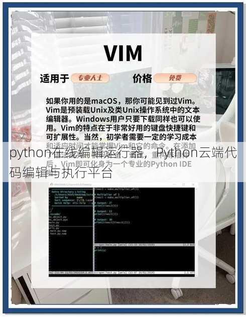 python在线编辑运行器