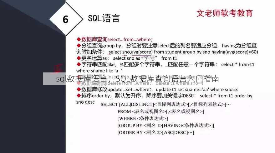 sql数据库语言