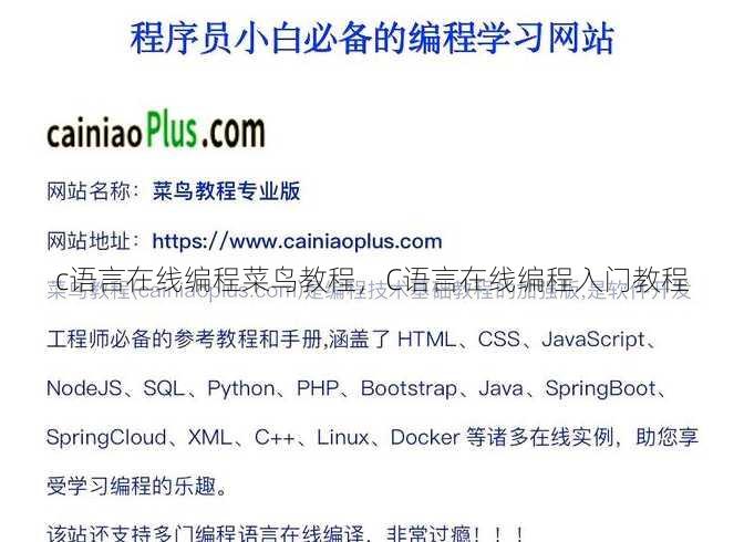 c语言在线编程菜鸟教程