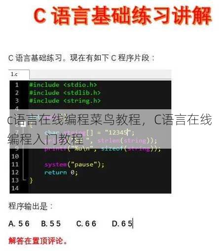 c语言在线编程菜鸟教程