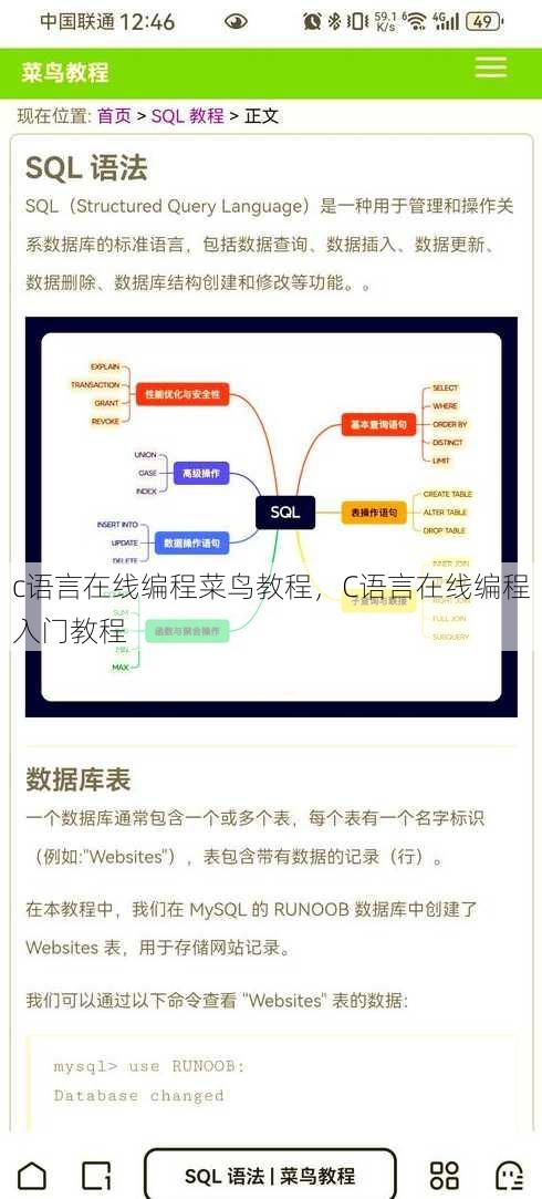 c语言在线编程菜鸟教程