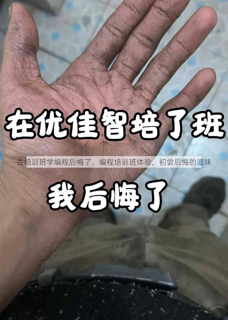 去培训班学编程后悔了