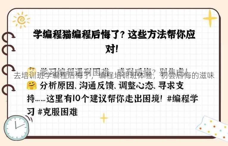 去培训班学编程后悔了