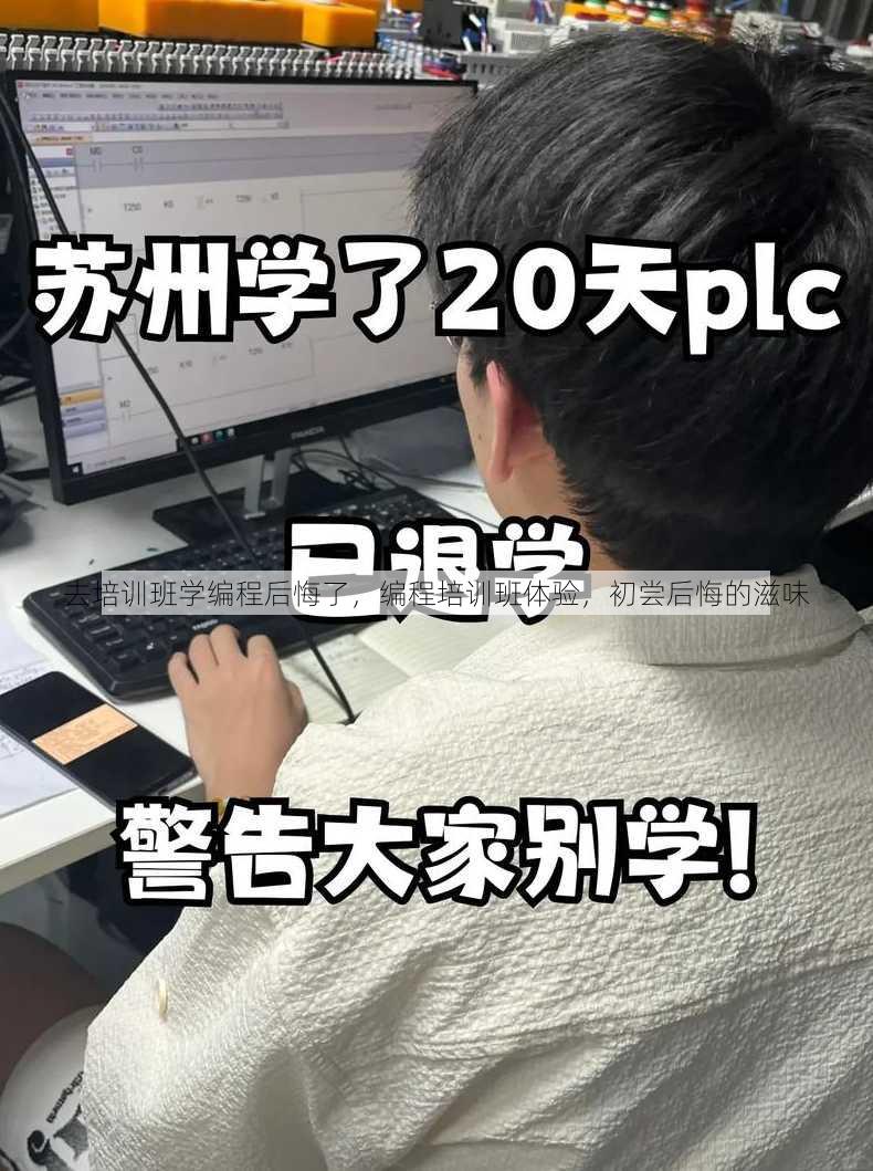 去培训班学编程后悔了