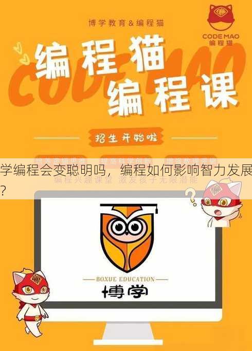 学编程会变聪明吗