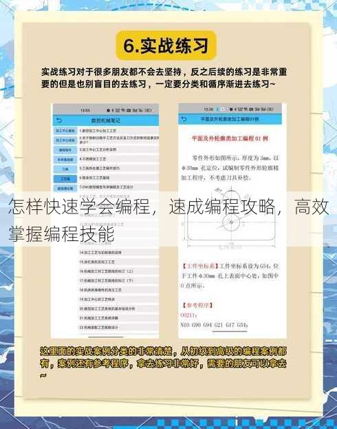 怎样快速学会编程