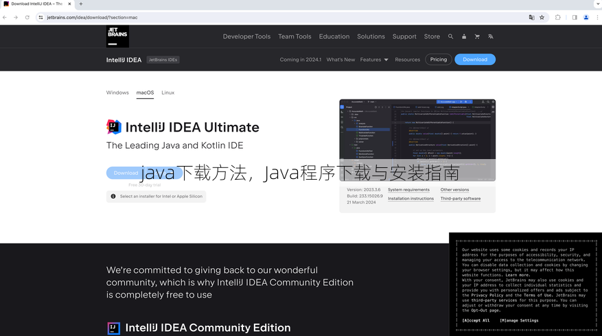 java下载方法