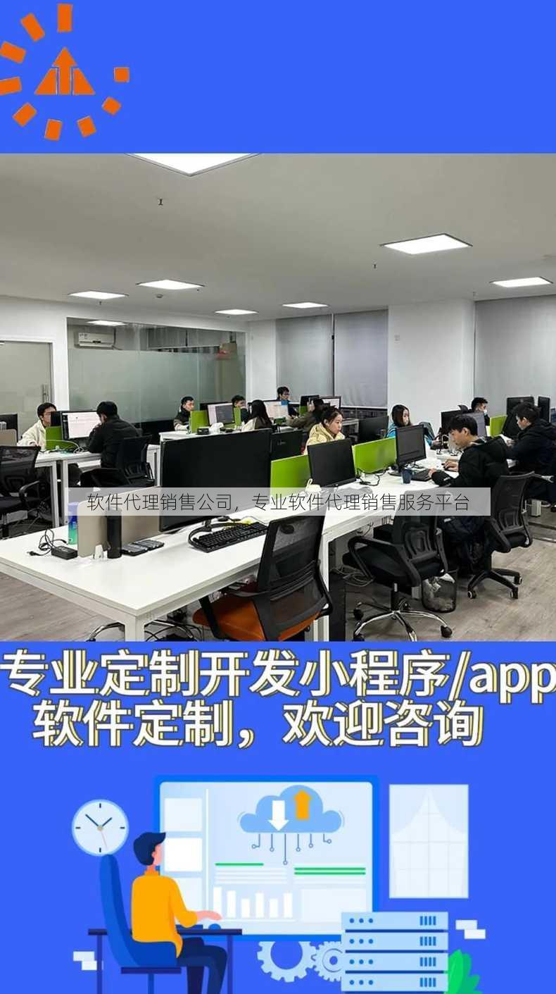 软件代理销售公司