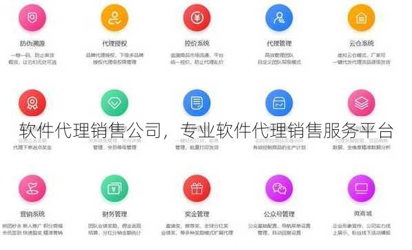 软件代理销售公司