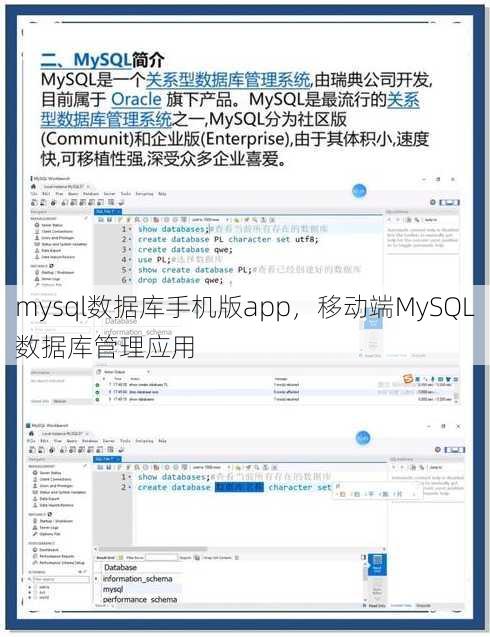 mysql数据库手机版app