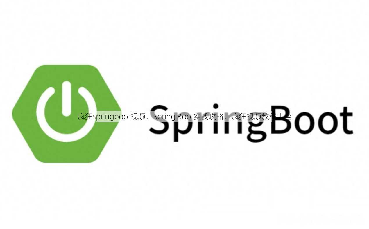 疯狂springboot视频