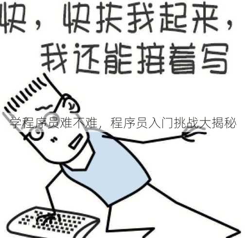 学程序员难不难