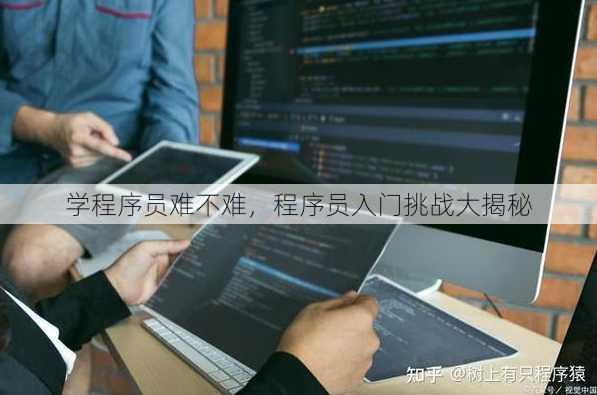 学程序员难不难