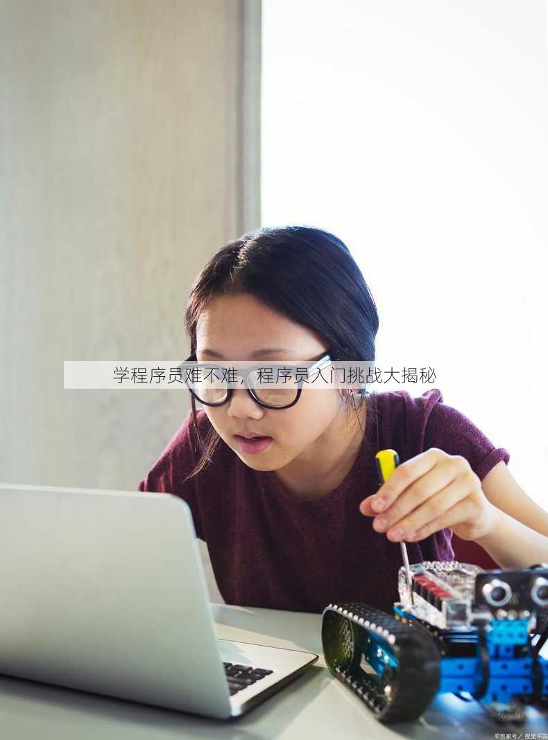 学程序员难不难