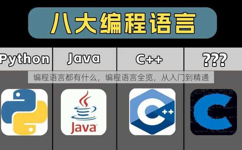 编程语言都有什么