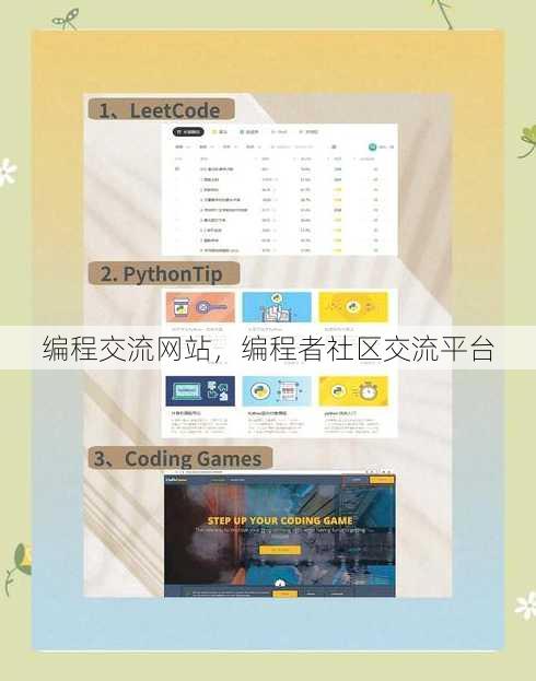 编程交流网站