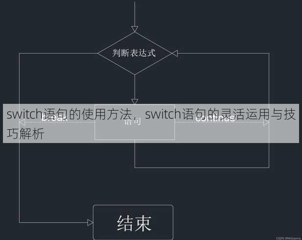 switch语句的使用方法