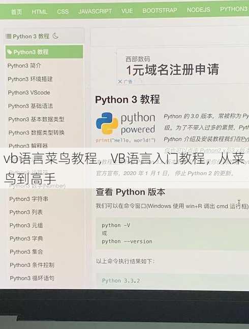 vb语言菜鸟教程