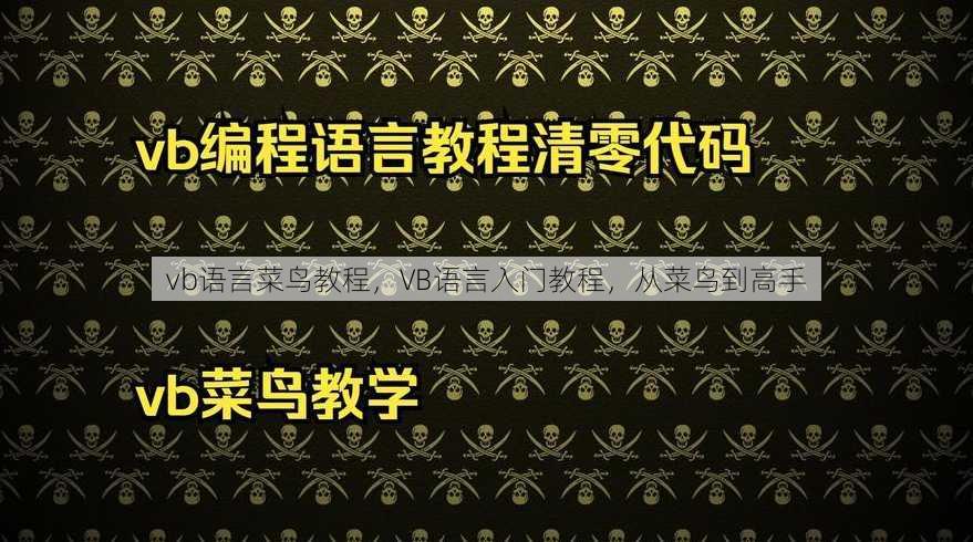 vb语言菜鸟教程