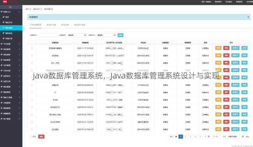 java数据库管理系统