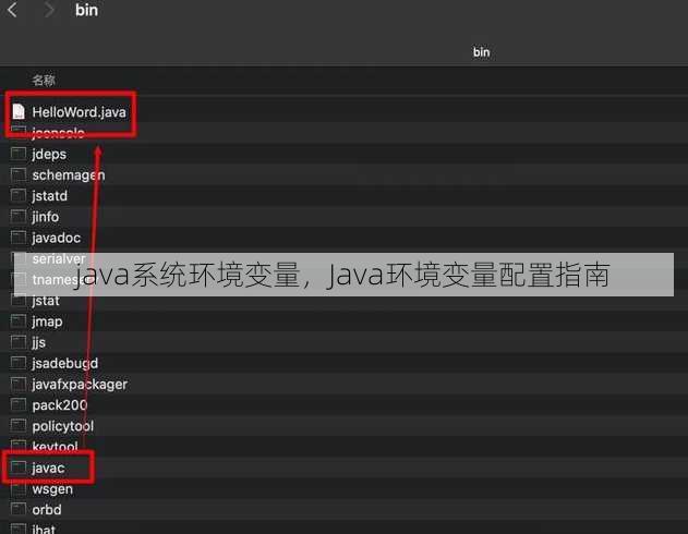 java系统环境变量