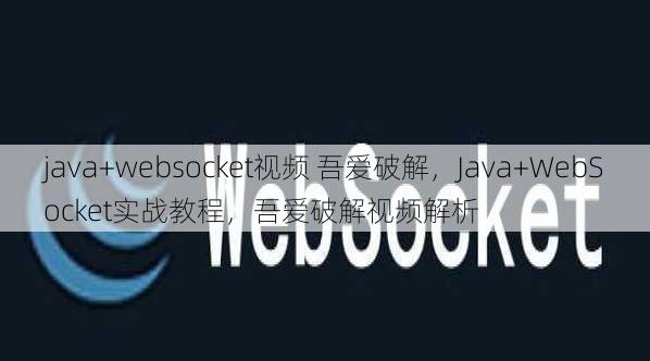 java+websocket视频 吾爱破解