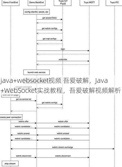 java+websocket视频 吾爱破解