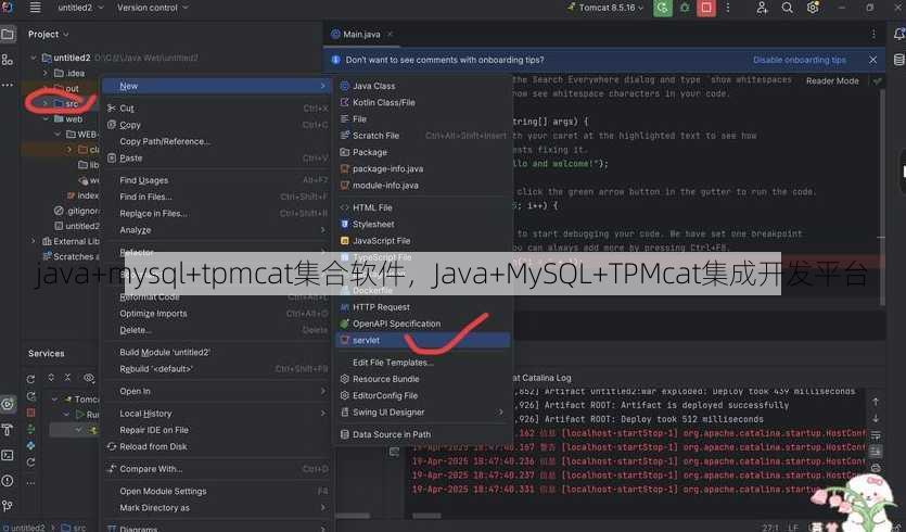 java+mysql+tpmcat集合软件