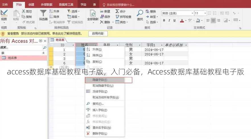 access数据库基础教程电子版