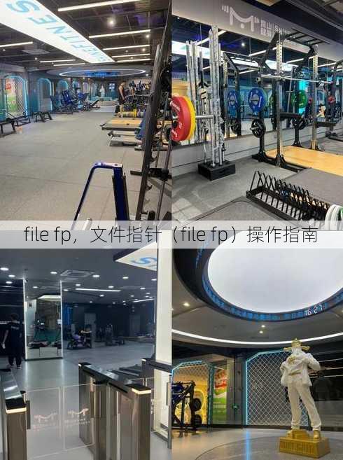 file fp