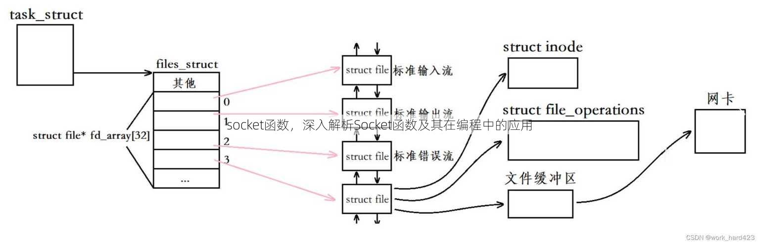 socket函数