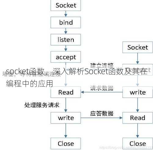 socket函数