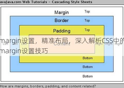 margin设置