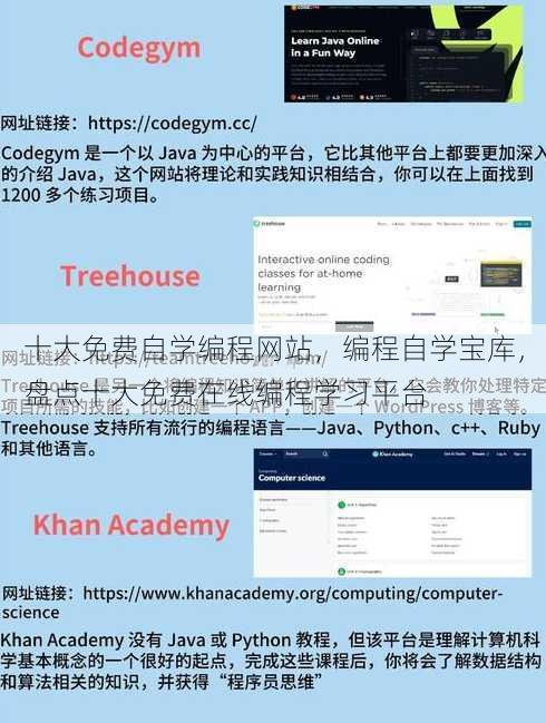 十大免费自学编程网站