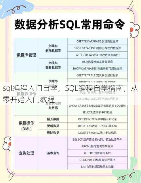 sql编程入门自学