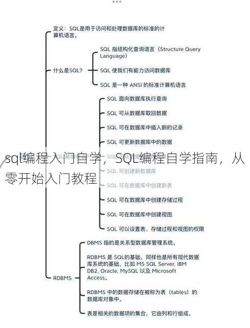 sql编程入门自学