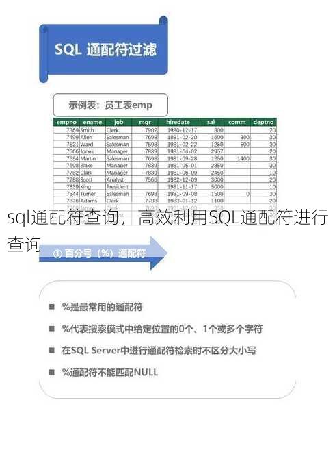 sql通配符查询