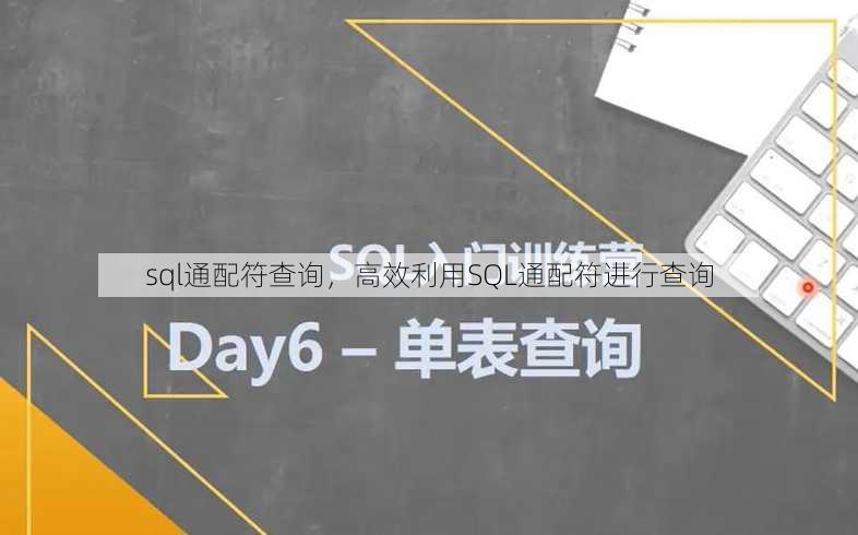 sql通配符查询