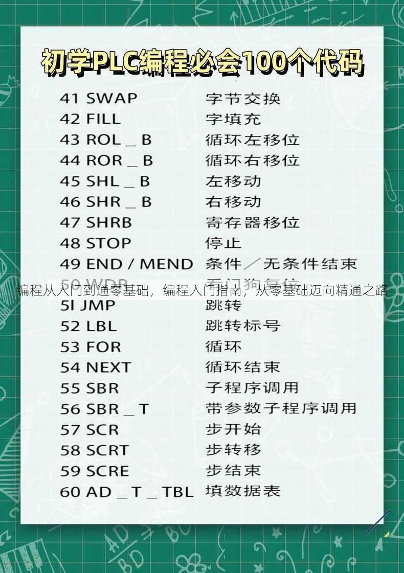 编程从入门到通零基础
