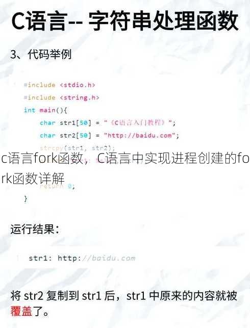 c语言fork函数