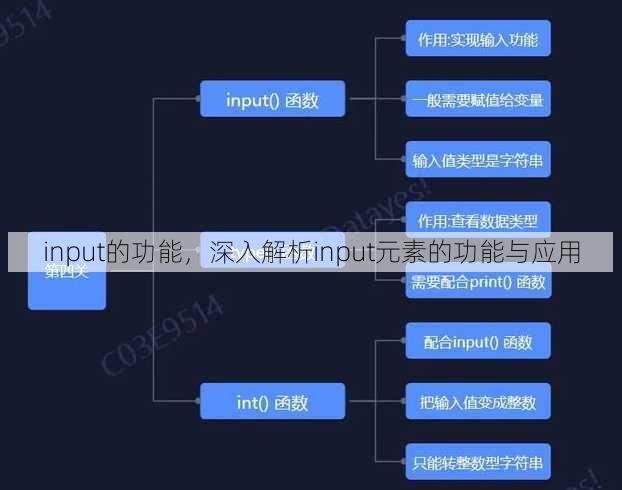 input的功能