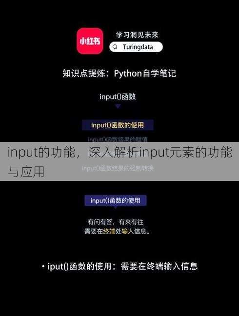 input的功能