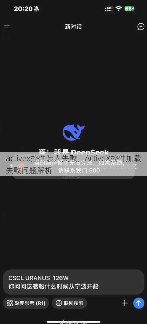 activex控件装入失败