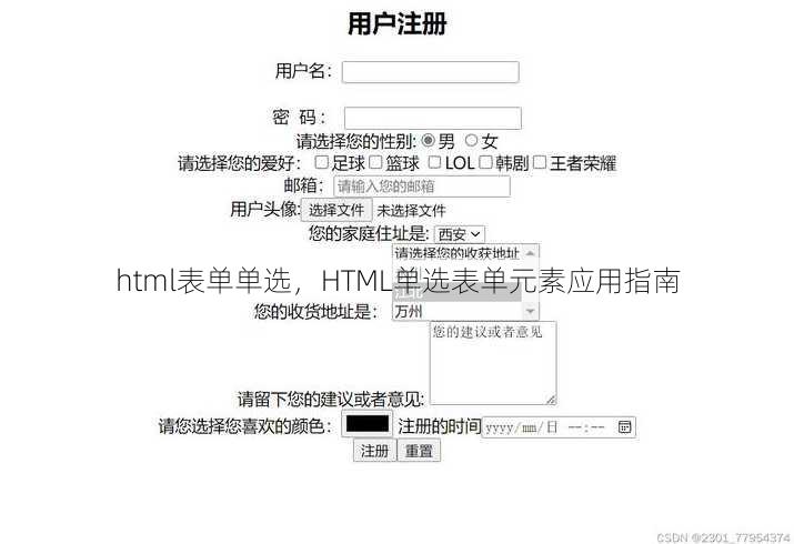 html表单单选