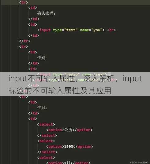 input不可输入属性