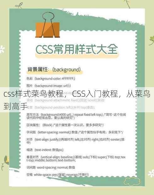 css样式菜鸟教程